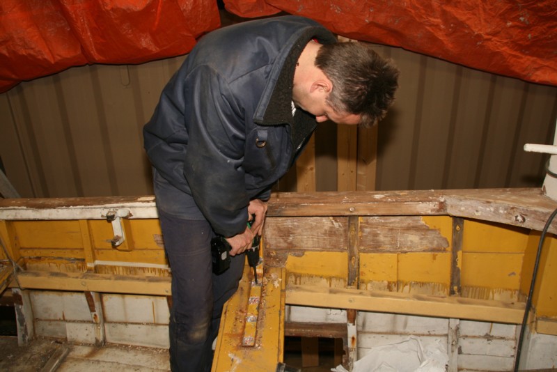 November 2010