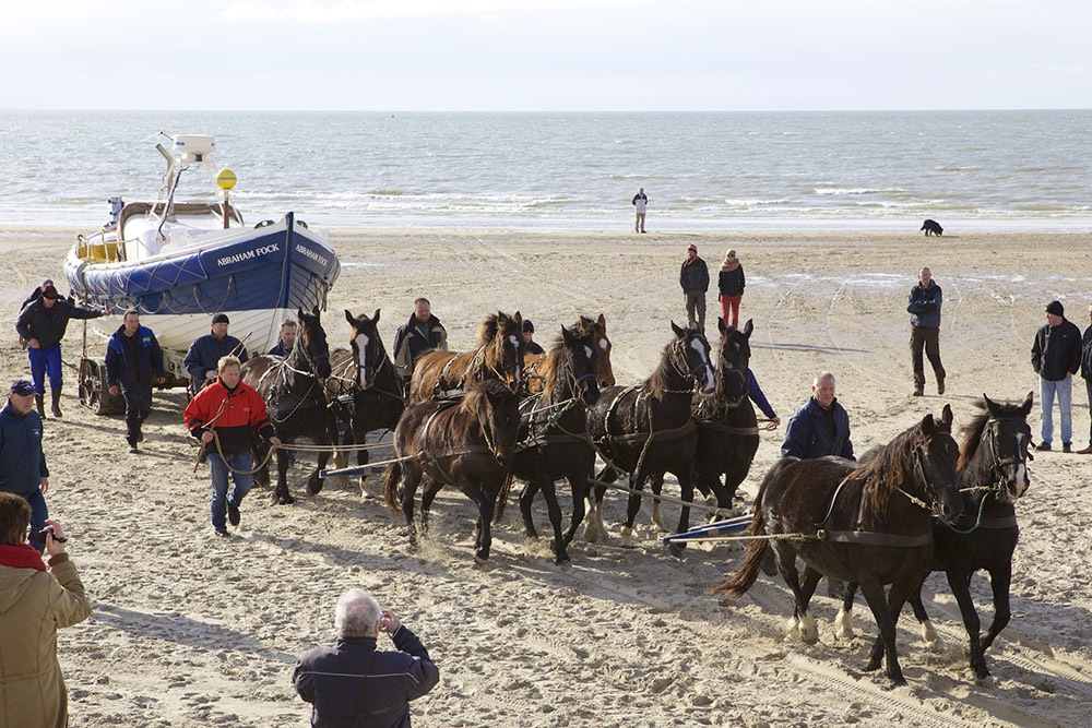 Ameland ORG