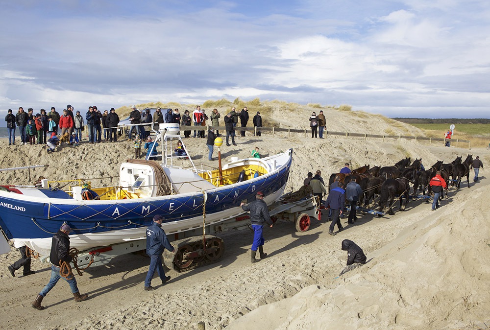 Ameland ORG
