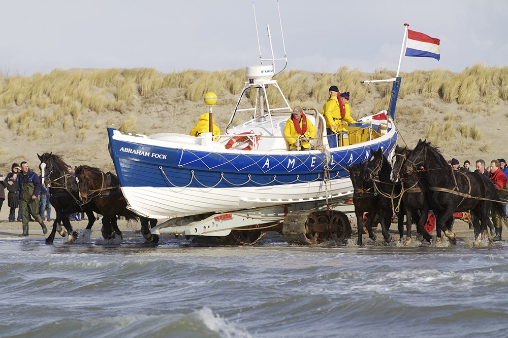 Ameland ORG