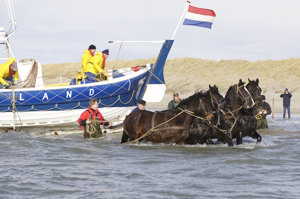 Ameland ORG
