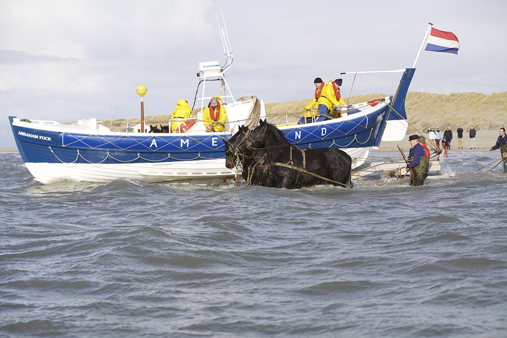 Ameland ORG